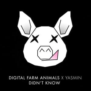 Didn't Know - Digital Farm Animals, Yasmin