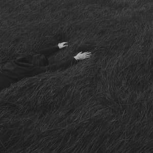 Lose Yourself - Jamie Lee Starling