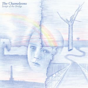 Up the Down Escalator - The Chameleons