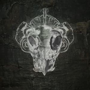 Swamp Gods - Thriftworks