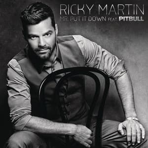 Mr. Put It Down (feat. Pitbull) - Ricky Martin, Pitbull