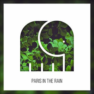 Paris in the Rain - Lone Tusker