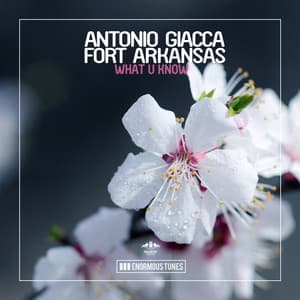 What U Know - Radio Mix - Antonio Giacca, Fort Arkansas