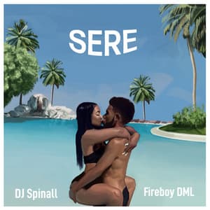 Sere - SPINALL, Fireboy DML