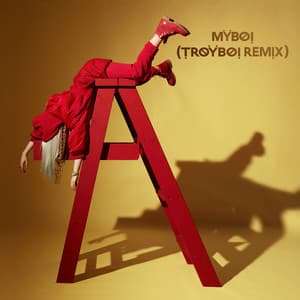 MyBoi - TroyBoi Remix - Billie Eilish, TroyBoi