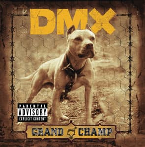 Get It On The Floor - DMX, Swizz Beatz