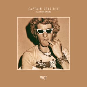 Wot - Captain Sensible, Franky Fontaine