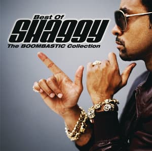 It Wasn't Me - Shaggy, Rik Rok