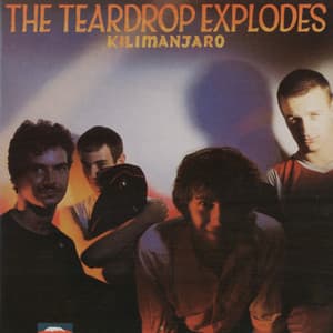 Poppies In The Field - The Teardrop Explodes